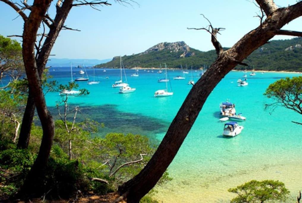 Villa Saint-Come, Du Grand Luxe A 1 Min De La Mer Hyères Exterior foto